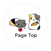 Page Top